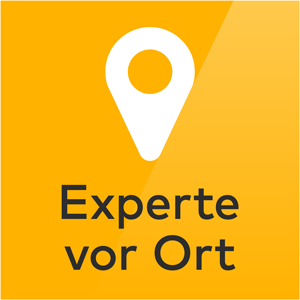 Experte vor Ort