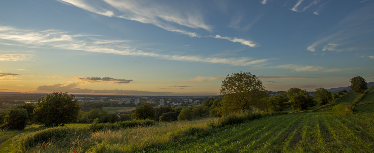 Landschaft bei Sonnenuntergang über Feldern in der Ortenau